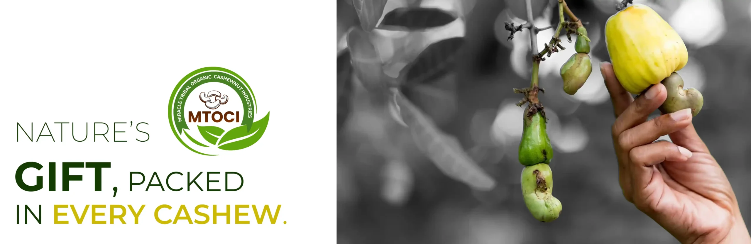 MTOCI Image -1 | miracleengineeringinfra.com