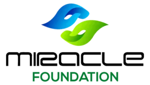 Miracle Logo - 2 | miracle engineering infra