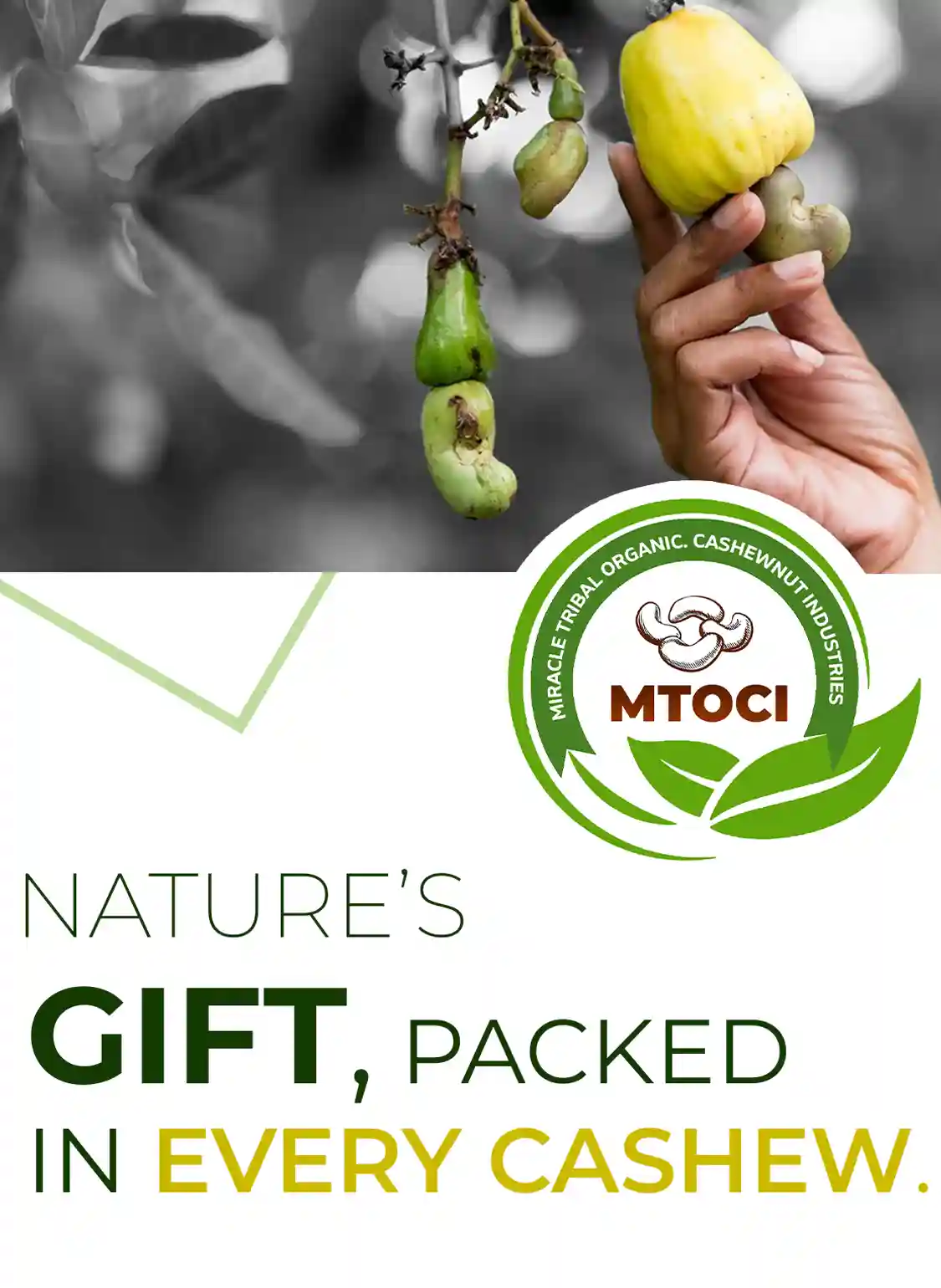 Nature's Gift, Packed in every Cashew | miracle engineering infra